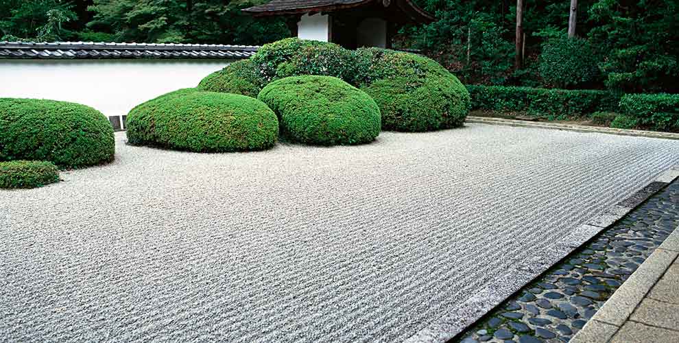 japanese garden
